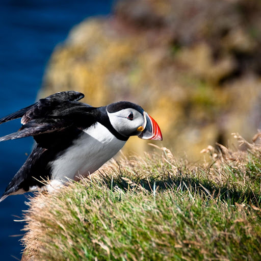 Hd-174032-ascw174032