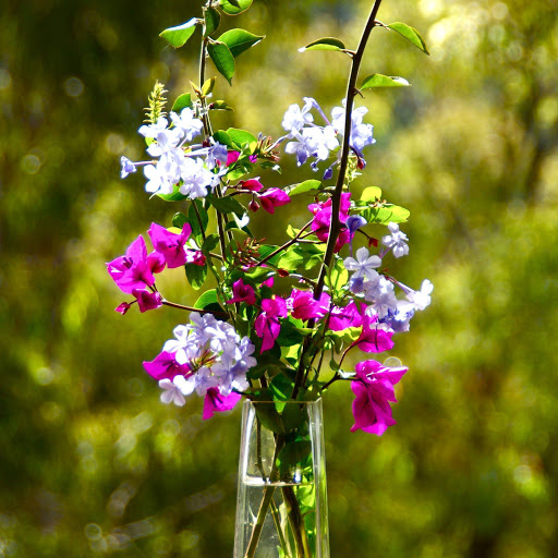 Hd-152663-ascw152663