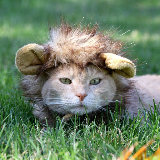 Hd-190812-ascw190812