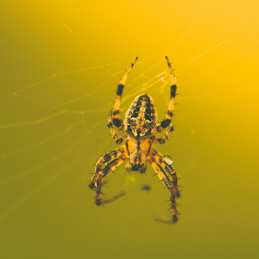 Hd-143055-ascw143055