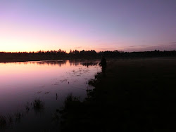 Skjern Au _ Oktober 2012 - 116