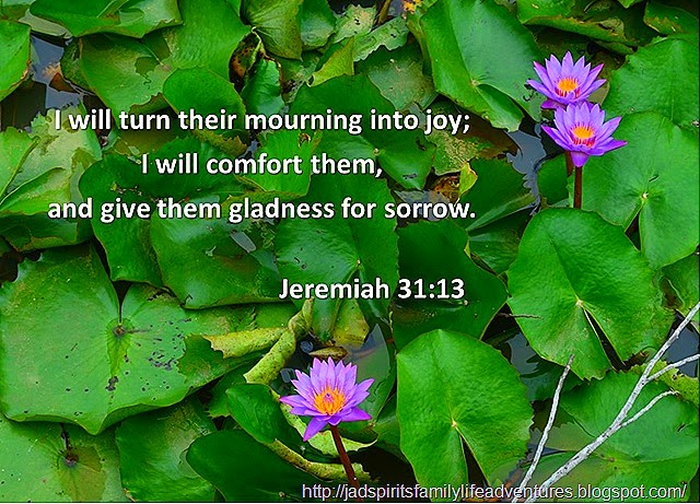 Jeremiah 31 13