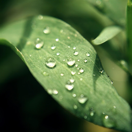 Hd-135104-ascw135104