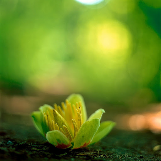 Hd-141457-ascw141457