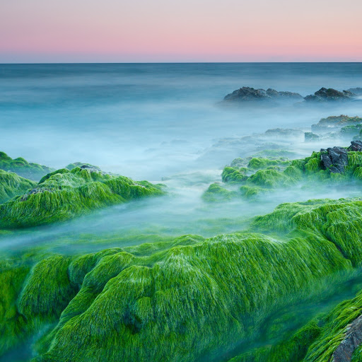 Hd-180500-ascw180500