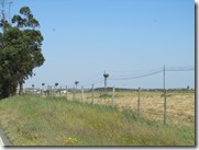 IMG_6486 IMG_6486