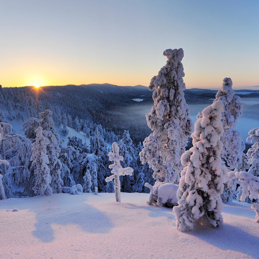 Hd-165175-ascw165175