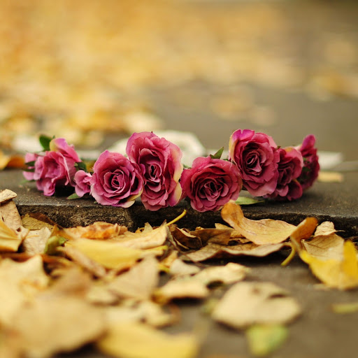 Hd-141975-ascw141975