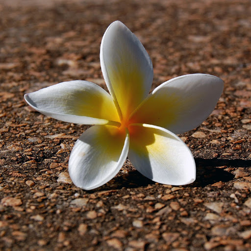 Hd-138072-ascw138072