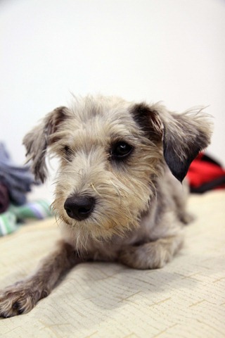 [IMG_0485%255B3%255D.jpg]