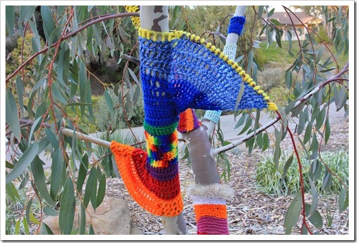 130119_UCDA_AustralianCollection_Natural-Transformations-yarn-bombing_28