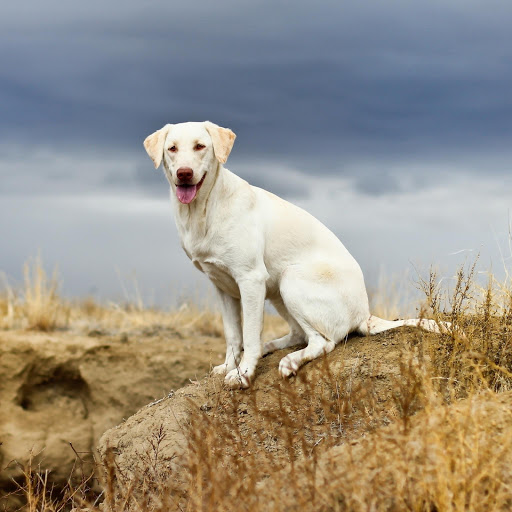 Hd-175889-ascw175889