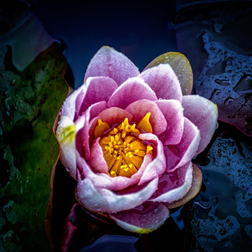 Hd-175679-ascw175679