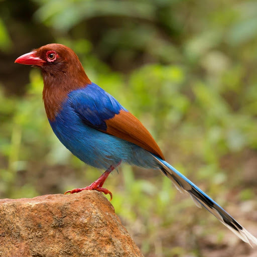 Hd-178236-ascw178236