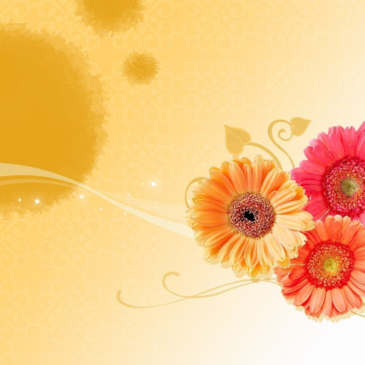 Hd-150046-ascw150046