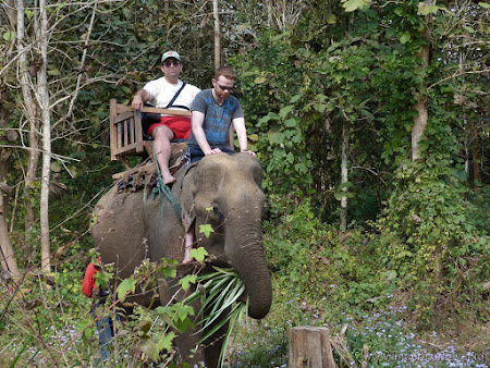 123. safari elefant.JPG