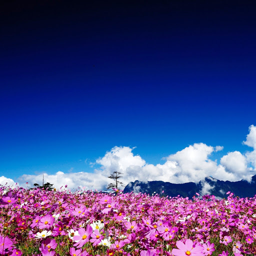 Hd-141967-ascw141967