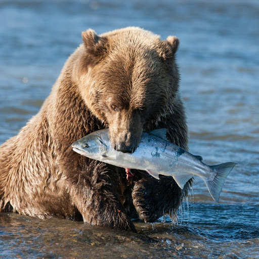 Hd-184845-ascw184845