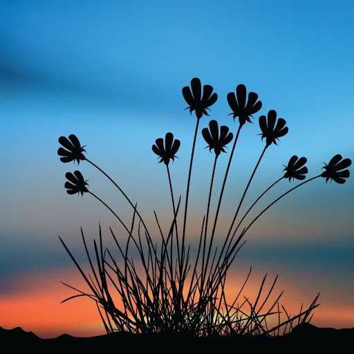 Hd-149974-ascw149974