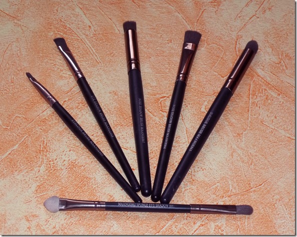 cosmetic brushes (1)