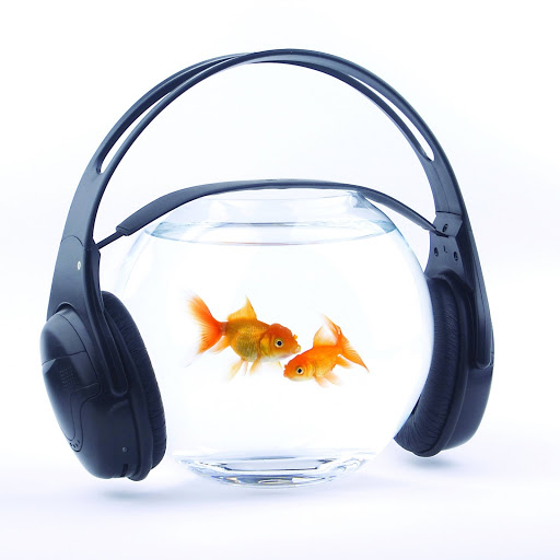 Hd-190505-ascw190505