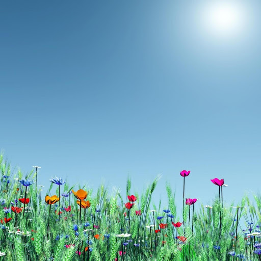 Hd-168625-ascw168625