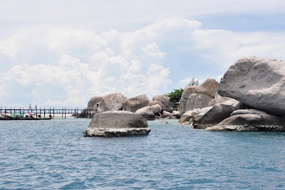 DSC_0302.JPG