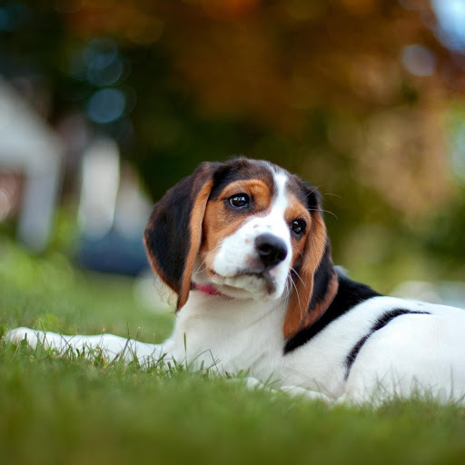 Hd-133940-ascw133940