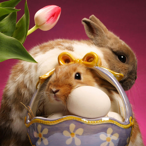 Hd-135390-ascw135390