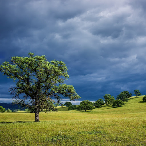 Hd-141708-ascw141708