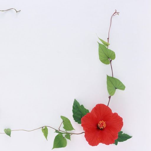 Hd-171851-ascw171851