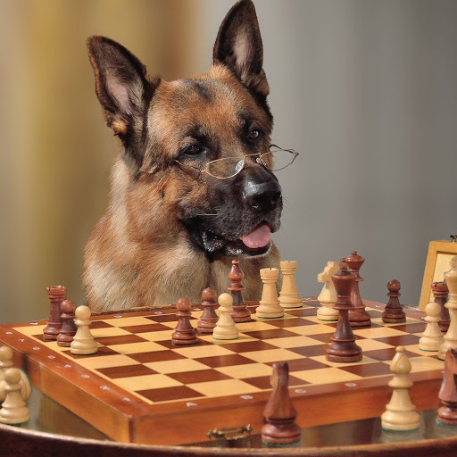 Hd-155981-ascw155981