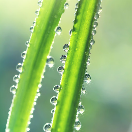 Hd-170610-ascw170610