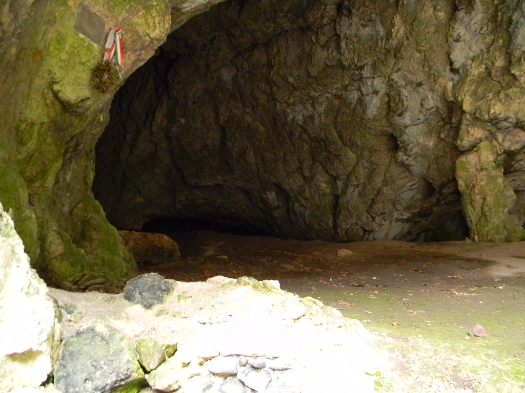 [DSCN84523.jpg]
