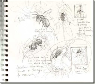 Sketches 2 Sketches 2