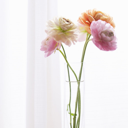 Hd-154754-ascw154754