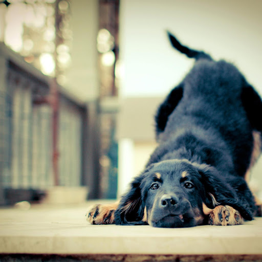 Hd-145782-ascw145782