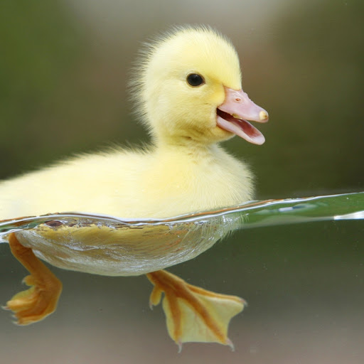 Hd-144349-ascw144349