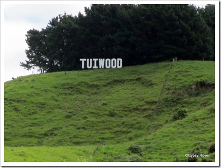 Tuiwood, Mangatainoka aka Tui Breweries.