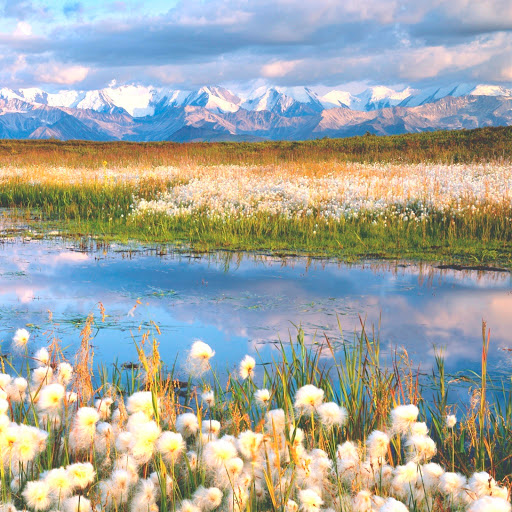 Hd-146663-ascw146663