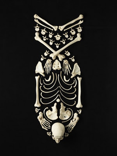 Francois-Robert-Bones-art-8