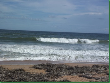 On the beach at Gamble Rogers 003