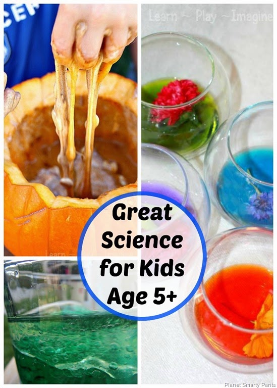 [Science-for-Kids-Age-5-Plus%255B2%255D.jpg]