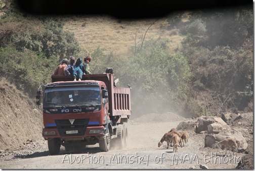 Travel - truck and goats