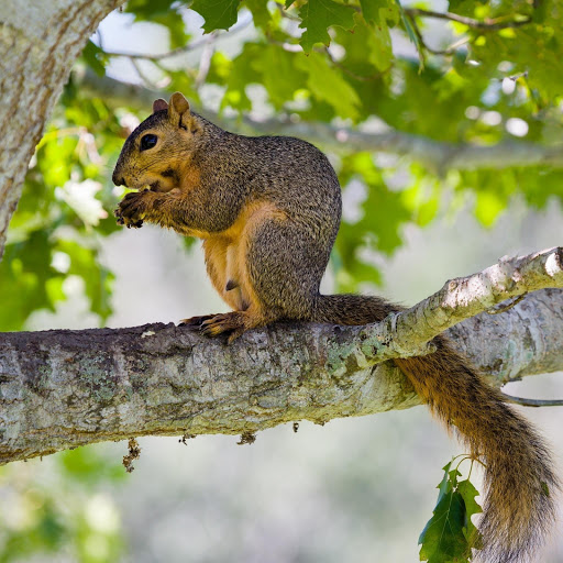 Hd-180449-ascw180449