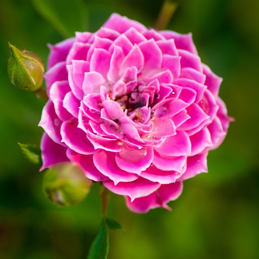 Hd-141794-ascw141794