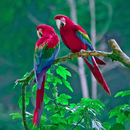 Hd-164539-ascw164539