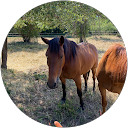 David HR profile picture