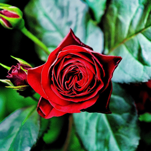 Hd-182349-ascw182349