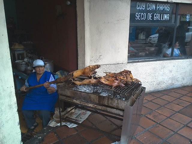 [WIN_20141011_1832201.jpg]